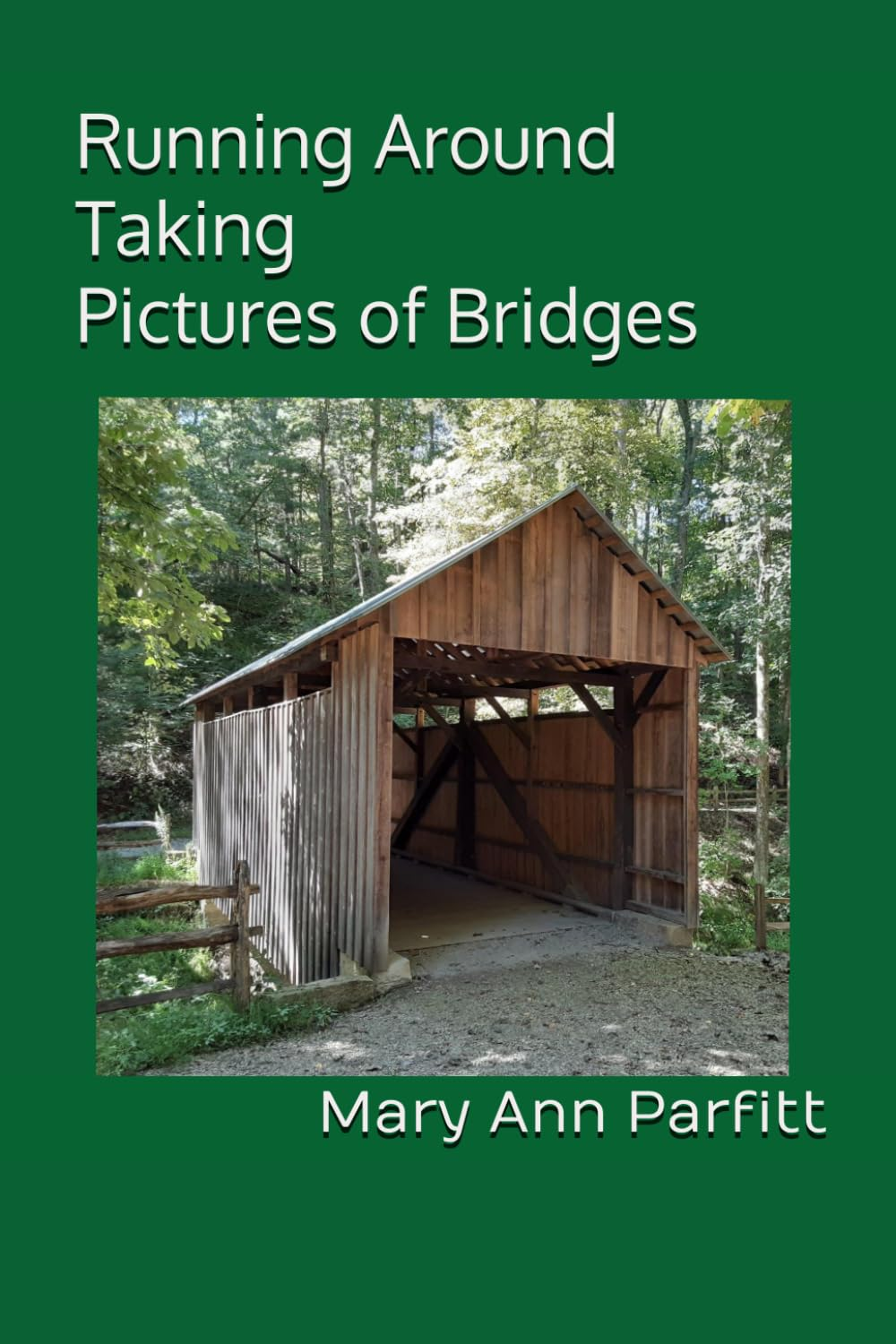 Running Around Taking Pictures of Bridges